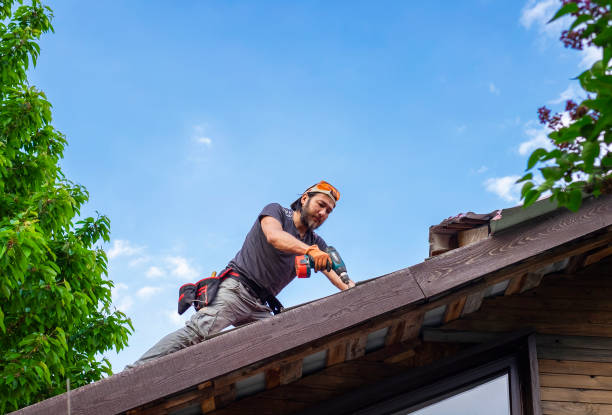 Best Sheet Metal Roofing  in Lindsay, OK